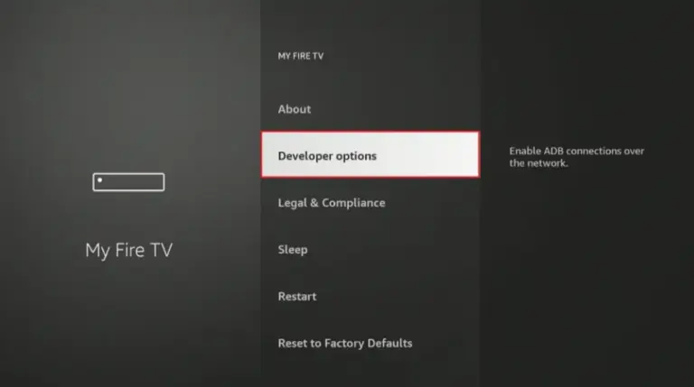 "Developer options "